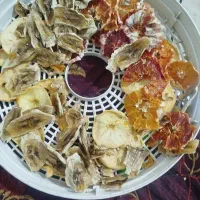 فروش لوکسترین میوه خشک