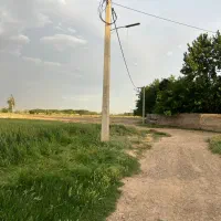 زمین ۲۰۰ متری چسب بافت ینگی امام