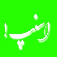 ثبتنام رایگان راننده اسنپ(خانم.آقا)باپاداش5شنبه ها