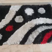 پادری ۸۰در ۵۰