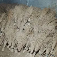 فروش جارو محلی ۶۰۰ عدد