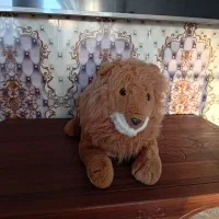 شیر سالم|اسباب‌بازی بچه|کرمانشاه, |دیوار