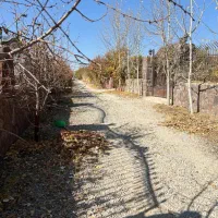 باغچه ۲۵۰ متری سند تک برگ اقساطی در جابان