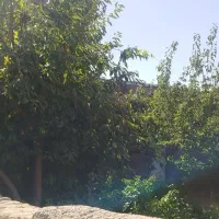 خانه مسکونی در خیرآباد زنجان|فروش خانه و ویلا|باغ حلی, |دیوار