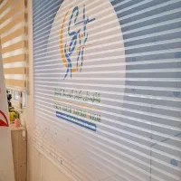 پرده شاین لوردراپه زبرا شید تصویری