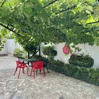 دوبلکس باشه و با این حیاط دلنشین دیگ تهران نمیری|فروش خانه و ویلا|آستانه سرا, |دیوار