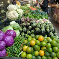 نیازمند نیروی کار ماهر میوه فروشی