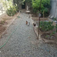 باغچه-چهار-دیواری