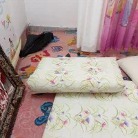 بالش ودوتا تشک نو|رختخواب، بالش، پتو|قم, نوبهار|دیوار