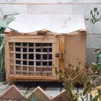 لانه حیوانات