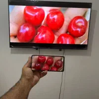 تلویزیون 65ال. ای دی و50|تلویزیون و پروژکتور|شیروان (خراسان), |دیوار