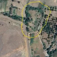 فروش یا معاوضه باغ روستای دزلی