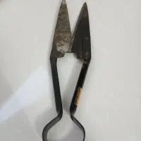 قیچی پشم زن