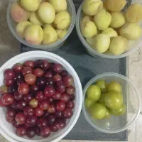 غوره. آلو. زردآلو