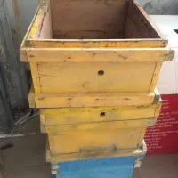 کندو خالی طبق