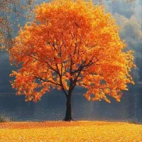 تحقیقاتی . مقاله .پایان نامه امثالهم و