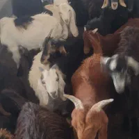کهره