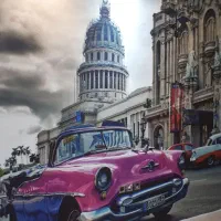 نصب کاغذ دیواری|خدمات پیشه و مهارت|تبریز, |دیوار