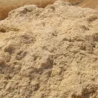 کاه گندم و جو.