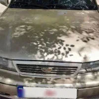 سیلو مدل ۸۱