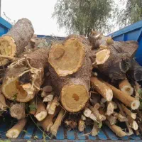 کارگر ساده جهت بارگیری چوب