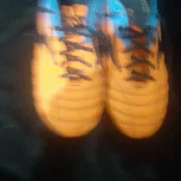 کفش استوک|کیف، کفش، کمربند|اهواز, دغاغله|دیوار