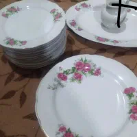 بشقاب گل سرخ ودیس|ظروف سرو و پذیرایی|قم, چهل اختران|دیوار