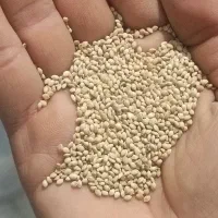 ارزن درشت درجه یک