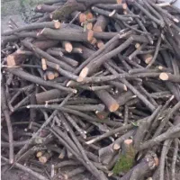 خریدار انواع چوب باغی و...|خدمات باغبانی و درختکاری|کردکوی, |دیوار