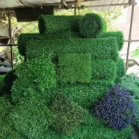 تولید و پخش فنس چمنی و برگی چمن مصنوعی و گرینوال