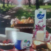 استخدام شرکت لبنی صباح کاشان