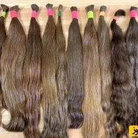 خریدار موهای خام ورنگی با قیمت استثنایی