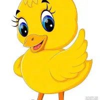 کارگر ساده برای بسته بندی مرغ