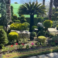 طراحی و اجرای فضای سبز ( محوطه سازی )