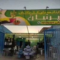 فروش عمده و تک انواع گلدان های سفالی و پلاستیکی