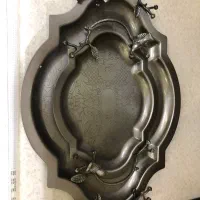 سینی سیلور جوجه ای