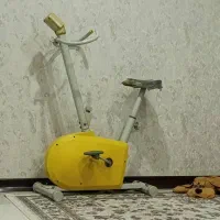 دوچرخه ثابت