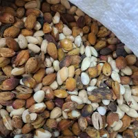 پسته شور|خوردنی و آشامیدنی|مشهد, کارگران|دیوار