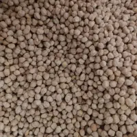 نخود بهاره کیلو175