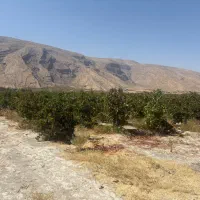 باغ شهر|فروش آپارتمان|شیراز, کوشک بیدک|دیوار