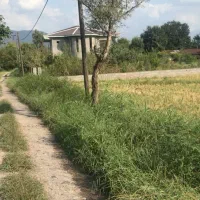 فروش زمین ۵۰۱ متری در باهنر ، شاه عباسی ، گلسرک|فروش زمین و ملک کلنگی|رشت, باهنر|دیوار