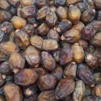 خرمای زاهدی (قصب )|خوردنی و آشامیدنی|شیراز, میانرود|دیوار