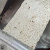 نیرو کار خانم