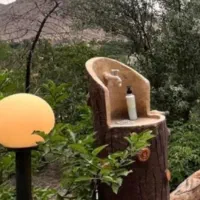 دقیق و بشرط تضمین