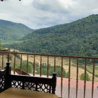 یک شب رویای در جنگل های سوادکوه