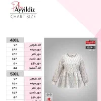 شومیز مجلسی  بیگ سایز آییلدیز کد 3554|لباس|تهران, آشتیانی|دیوار