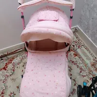 کالسکه صورتی دلیجان