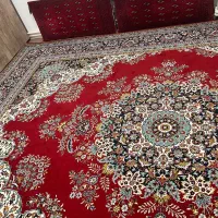 فرش نگین مشهد