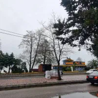 ویلای ساحلی نیلو