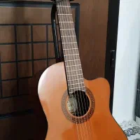 گیتار سوزوکیsuzuki|گیتار، بیس، امپلیفایر|مشهد, کلاهدوز|دیوار